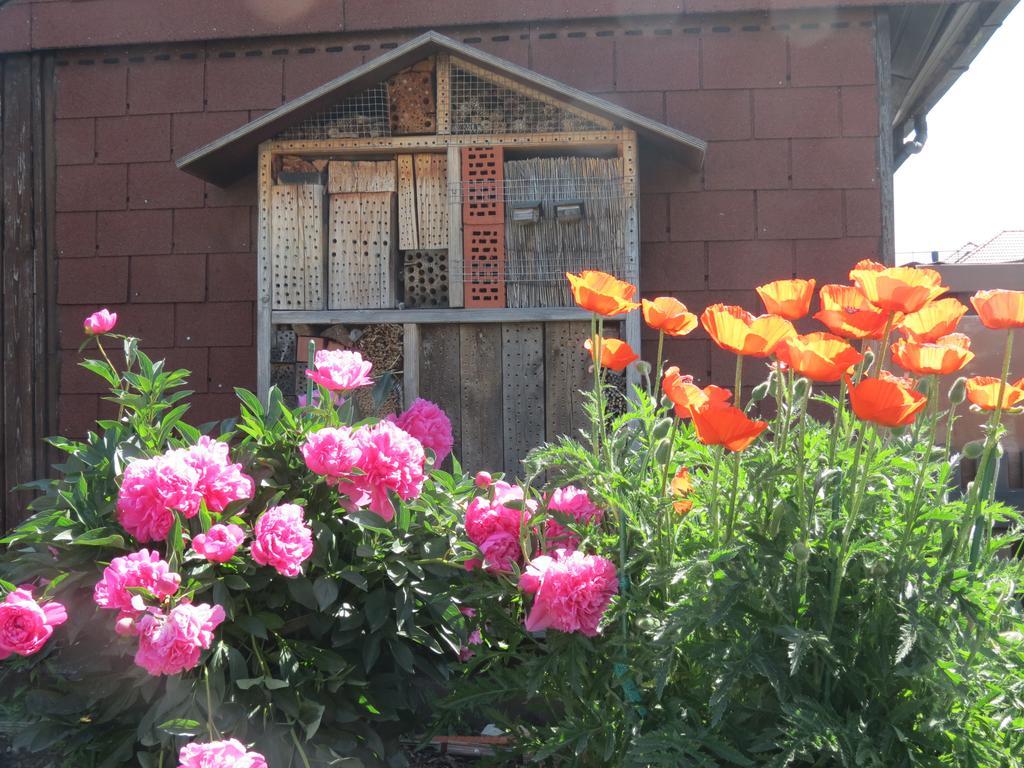 דירות Spira House מראה חיצוני תמונה